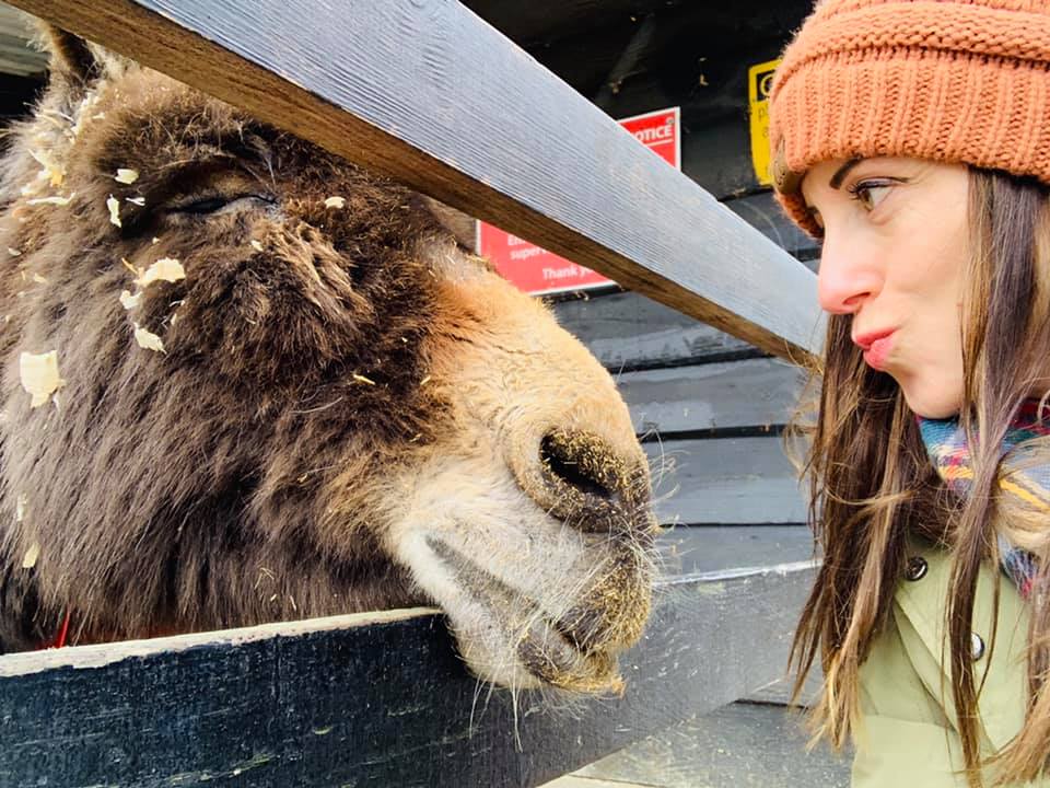 Kissing a donkey at the Donkey Sanctuary in Ireland